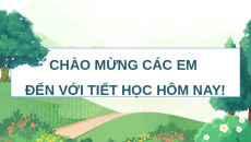 Giáo án Powerpoint Đa giác đều. Hình đa giác đều trong thực tiễn Toán 9 Cánh diều