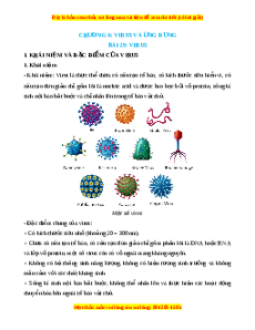 Lý thuyết Sinh học 10 Chân trời sáng tạo Bài 29: Virus