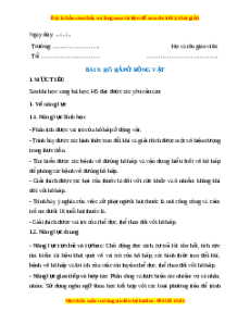 Giáo án Hô hấp ở động vật Sinh học 11 Kết nối tri thức