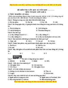 Đề thi giữa kì 1 Tin học 6 Kết nối tri thức (Đề 3)