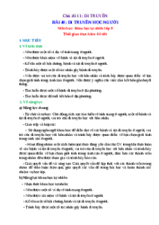 Giáo án Bài 44 KHTN 9 Chân trời sáng tạo (2024): Di truyền học với con người