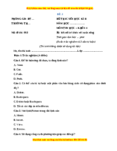 Đề thi giữa kì 2 Tin học lớp 4 Kết nối tri thức (Đề 3)