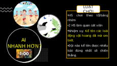 Giáo án Powerpoint Bài 10 Địa lí 8 Kết nối tri thức: Sinh vật Việt Nam