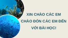 Giáo án Powerpoint Bài 25: Ứng dụng công nghệ sinh học trong phòng, trị bệnh thủy sản Công nghệ 12 Kết nối tri thức