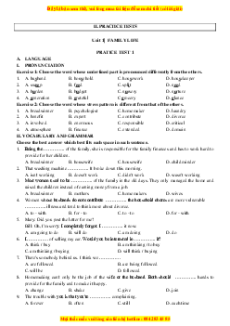 Practice Tests - Bài tập Tiếng Anh English Workbook 10