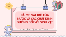 Bài giảng Powerpoint Vai trò của nước và chất dinh dưỡng ở thực vật Sinh học - KHTN 7 Kết nối tri thức