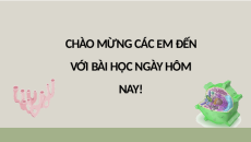 Giáo án Powerpoint Thực hành thí nghiệm co và phản co nguyên sinh Sinh học 10 Kết nối tri thức