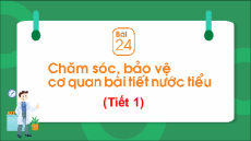 Giáo án Powerpoint Bài 24 Tự nhiên xã hội lớp 2 Chân trời sáng tạo: Chăm sóc và bảo vệ cơ quan bài tiết nước tiểu