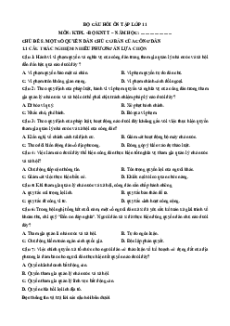 Câu hỏi ôn tập + Đề kiểm tra KTPL 11 Chủ đề 8 (chung cho ba sách)