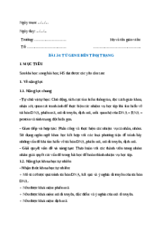 Giáo án Bài 34 Khoa học tự nhiên 9 Cánh diều (2024): Từ gene đến tính trạng