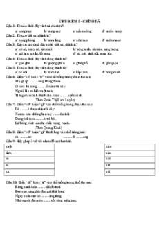Câu hỏi ôn thi Trạng Nguyên Tiếng Việt lớp 4 Chủ điểm 5: Chính tả