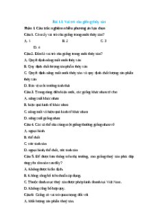 Trắc nghiệm Bài 13: Vai trò của giống thủy sản Công nghệ 12 Lâm nghiệp-Thủy sản Kết nối