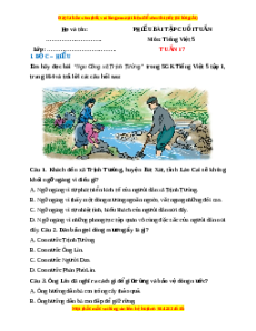 Bài tập cuối tuần Tiếng việt 5 Tuần 17 (có lời giải)