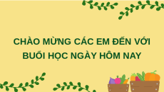 Giáo án Powerpoint Ôn tập chương 1 Công nghệ 7 Kết nối tri thức