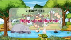 Giáo án Powerpoint Bài 17 Tự nhiên xã hội lớp 3 Chân trời sáng tạo