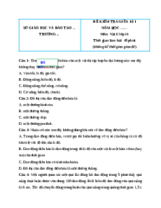 Đề thi giữa kì 1 Vật lí 11 Kết nối tri thức - Đề 3