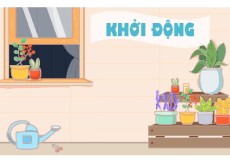 Giáo án Powerpoint Bài 2: Ngôi nhà của em Tự nhiên xã hội lớp 1 Kết nối tri thức