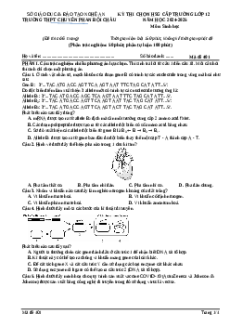 Đề thi thử tốt nghiệp Sinh học 2025 trường Chuyên Phan Bội Châu
