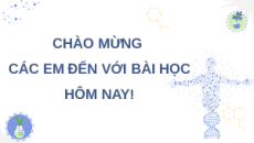 Giáo án Powerpoint Bài 16: Quan niệm của Darwin về chọn lọc tự nhiên và hình thành loài Sinh học 12 Chân trời sáng tạo