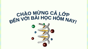 Giáo án Powerpoint Bài 48: Ứng dụng công nghệ di truyền vào đời sống KHTN 9 Kết nối tri thức