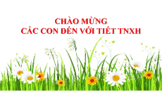 Giáo án Powerpoint Bài 4 Tự nhiên xã hội lớp 2 Chân trời sáng tạo: Giữ vệ sinh nhà ở