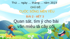 Giáo án Powerpoint Viết: Quan sát, tìm ý cho bài văn miêu tả cây cối trang 15, 16 Tiếng việt lớp 4 Chân trời sáng tạo