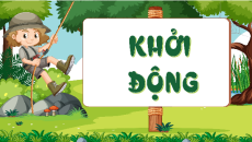 Giáo án Powerpoint Bài 12: Điện trường Vật lí 11 Chân trời sáng tạo