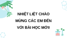 Giáo án Powerpoint Bài 28: Chức năng của môi trường đối với sinh vật Khoa học lớp 5 Kết nối tri thức