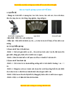 Lý thuyết Sinh học 10 Chân trời sáng tạo Bài 10: Thực hành: Quan sát tế bào