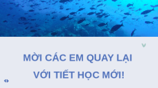 Giáo án Powerpoint Bài 27: Khai thác nguồn lợi thủy sản Công nghệ 12 Kết nối tri thức