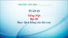 Giáo án Powerpoint Bài 10: Quả hồng của thỏ con Tiếng việt lớp 3 Kết nối tri thức