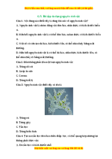 Trắc nghiệm Đa dạng nguyên sinh vật KHTN 6 Cánh diều