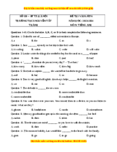 Đề thi tuyển sinh vào lớp 6 môn Tiếng Anh trường THCS Nguyễn Tất Thành năm 2023