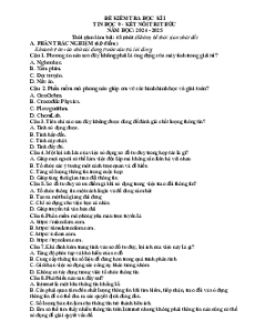 Bộ 3 đề thi Cuối kì 1 Tin học 9 Kết nối tri thức có đáp án