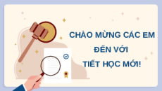 Giáo án Powerpoint Bài 19 KTPL 10 Chân trời sáng tạo: Thực hiện pháp luật