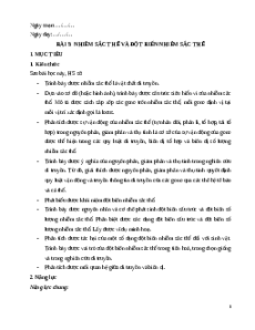 Giáo án Bài 5 Sinh học 12 Chân trời sáng tạo: Nhiễm sắc thể và đột biến nhiễm sắc thể