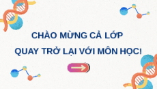 Giáo án Powerpoint Bài 4: Đột biến gene Sinh học 12 Cánh diều