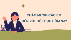 Giáo án Powerpoint Vai trò và ứng dụng của vi sinh vật Sinh học 10 Kết nối tri thức