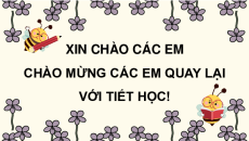 Giáo án Powerpoint Chia sẻ và đọc: Con heo đất trang 32, 33, 34 Tiếng việt lớp 3 Cánh diều