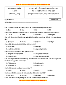 Đề thi thử tốt nghiệp Sinh học Sở Hà Tĩnh lần 1 năm 2024