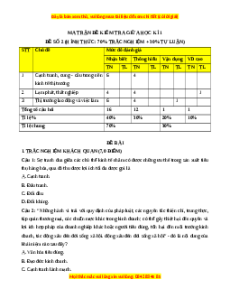 Đề thi giữa kì 1 KTPL 11 Chân trời sáng tạo (đề 2)