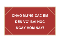 Giáo án Powerpoint Bài 16 Lịch sử 8 Cánh diều: Việt Nam nửa sau thế kỉ XIX
