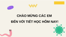 Giáo án Powerpoint Bài 29: Virus Sinh học 10 Chân trời sáng tạo
