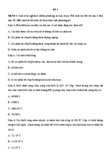 Đề thi giữa kì 1 Vật lí 12 Chân trời sáng tạo (Đề 1)
