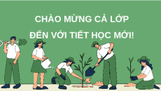 Giáo án Powerpoint Bài 8 Khoa học lớp 5 Cánh diều: Sự sinh sản của thực vật có hoa