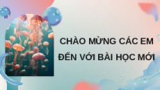 Giáo án Powerpoint Bài 15 Địa lí 8 Chân trời sáng tạo: Đặc điểm tự nhiên, môi trường và tài nguyên vùng biển đảo Việt Nam