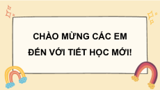 Giáo án Powerpoint Bài 3: Thuyền trưởng và bầy ong Tiếng việt lớp 4 Chân trời sáng tạo (Pb2)
