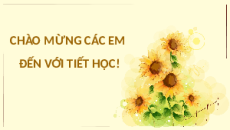 Giáo án Powerpoint Thực hành tiếng Việt trang 104 Ngữ văn 10 Cánh diều