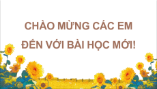 Bài giảng Powerpoint Lịch sử & Địa lí lớp 4 Cánh diều