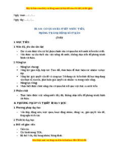 Giáo án Bài 18 Tự nhiên xã hội lớp 2 Cánh diều: Cơ quan bài tiết nước tiểu phòng tránh bệnh sỏi thận